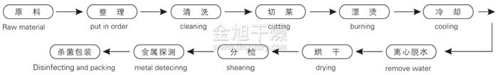 脱水蔬菜带式干燥工艺流程